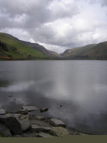 website pix - 01.jpg