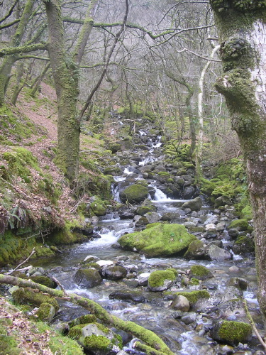 website pix - 03.jpg