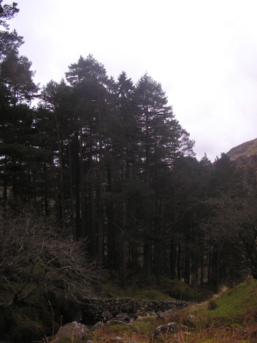 website pix - 04.jpg