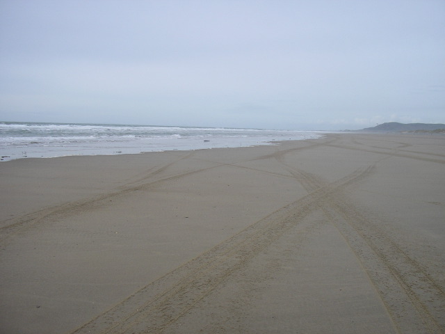 website pix - 12.jpg