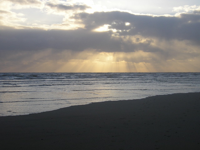 website pix - 18.jpg