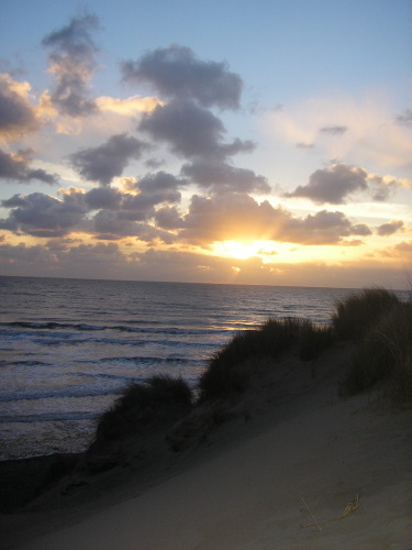 website pix - 22.jpg