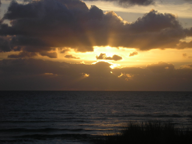website pix - 23.jpg